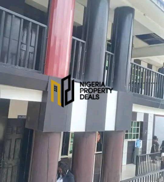 Functional International School for Sale